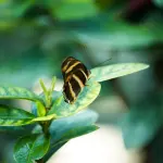 Il Veneto capofila del progetto Life ADACT ITALY: 23 milioni per l’adattamento climatico