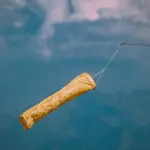 Veneto, vento forte e precipitazioni: allerta per bora fino a mercoledì