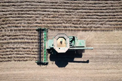 Veneto, parte il cantiere per la PAC 2028-2034: tavolo regionale e conferenza per disegnare le nuove strategie