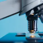 VIMM, trent’anni di ricerca biomedica avanzata: il Veneto celebra una delle sue eccellenze scientifiche