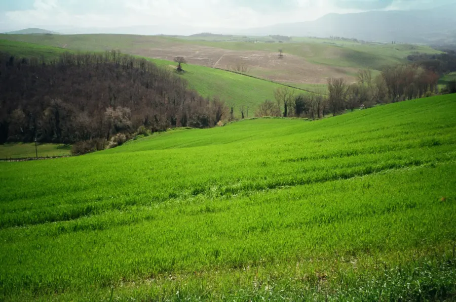 Veneto, la Regione rilancia il dialogo con i GAL: sviluppo locale, servizi e strategia per le aree rurali