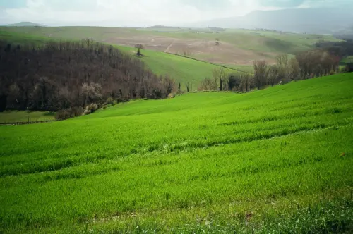 Veneto, la Regione rilancia il dialogo con i GAL: sviluppo locale, servizi e strategia per le aree rurali