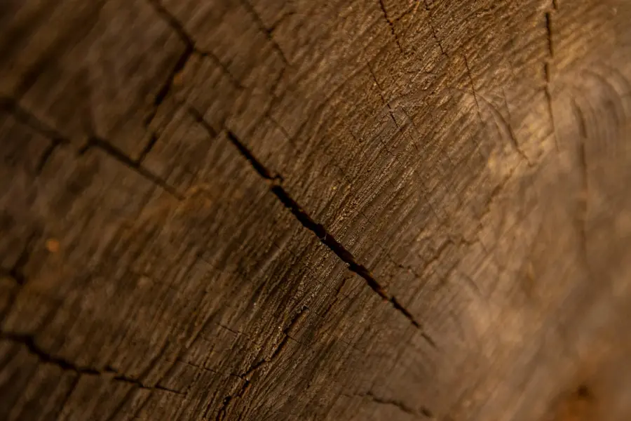 Legno Veneto, prezzi triplicati: Confartigianato chiede un patto