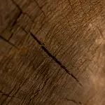 Legno Veneto, prezzi triplicati: Confartigianato chiede un patto