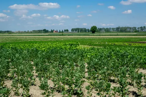 Agroalimentare, CNA: piccoli produttori sotto pressione dalla GDO