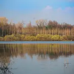 Peschiera del Garda, monitoraggio del lago con dati satellitari