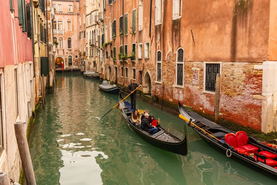 Venezia, visita al fratino nell’Oasi di San Nicolò