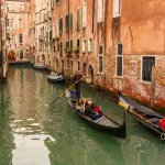 Venezia, visita al fratino nell’Oasi di San Nicolò